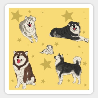 Alaskan Malamute Pattern Yellow Sticker